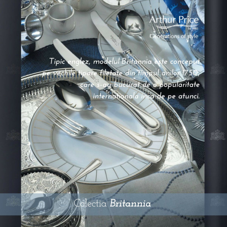 FĂRĂ CATEGORIE - Tacamuri argintate set 6 persoane (44 piese)