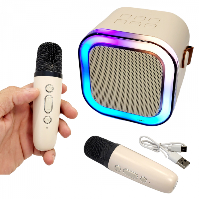 Boxa Karaoke wireless cu doua microfoane si acumulatori reincarcabili [1]