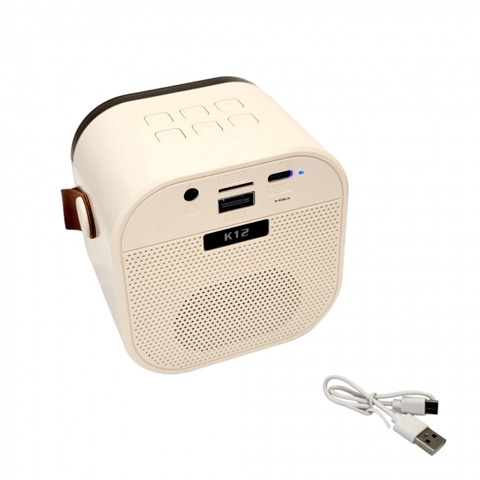 Boxa Karaoke wireless cu doua microfoane si acumulatori reincarcabili [5]