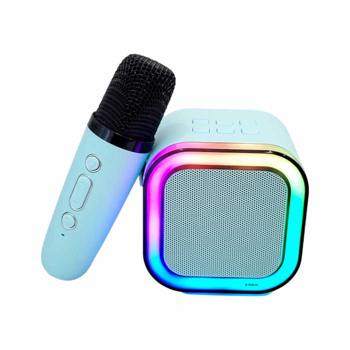 Boxa Karaoke wireless cu microfon si acumulatori reincarcabili [2]
