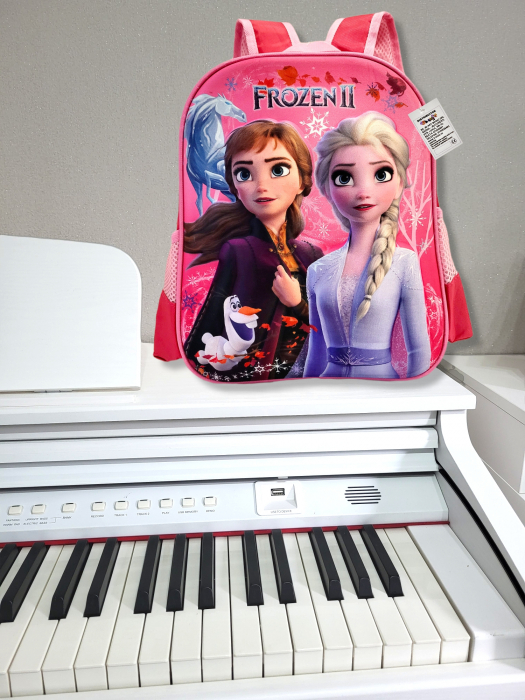 Ghiozdanel pentru gradinita, 33 cm, Frozen, 3D [2]