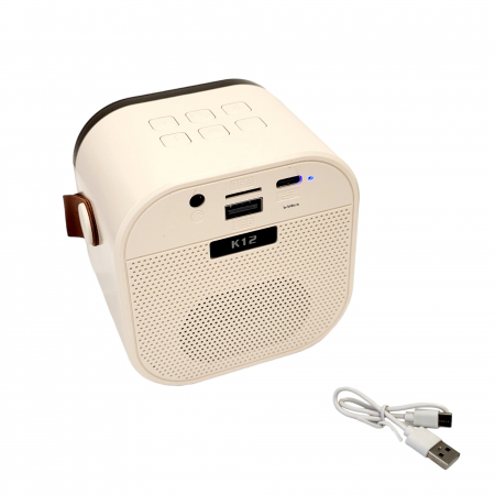 Boxa Karaoke wireless cu doua microfoane si acumulatori reincarcabili [4]