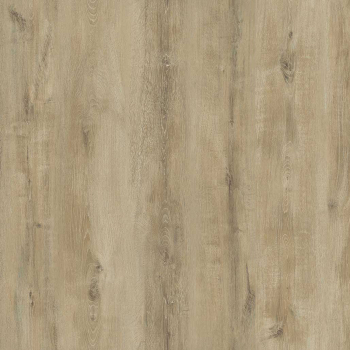 Parchet laminat BL GARDENYA 8mm AC3 CL31, 2.2920 mp / cutie, beige - ExpoMob [3]