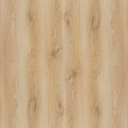 Parchet - Parchet laminat NL TREND OAK 8MM AC4 CL32, 1.8340 mp / cutie, beige - ExpoMob
