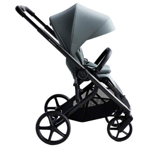 Carucior Avionaut Sirius 2 in 1 Blue [7]