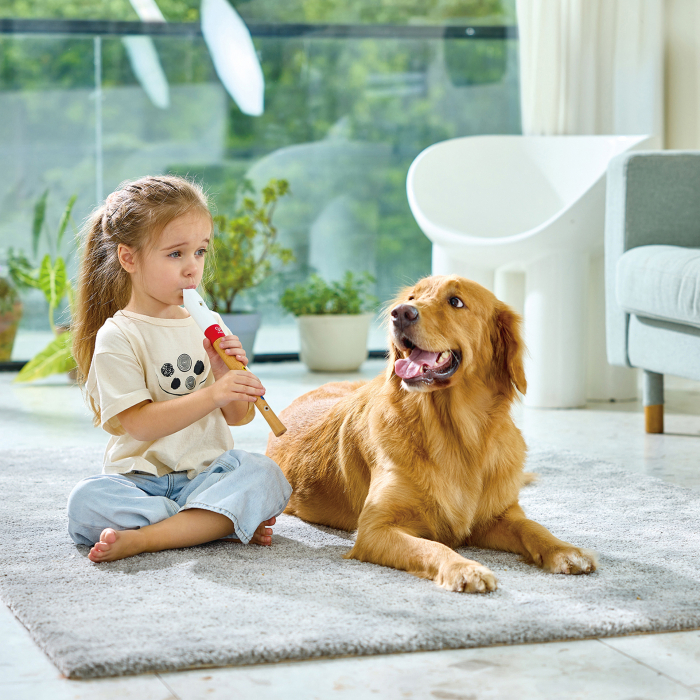 Jucarie din lemn - Flaut [2]