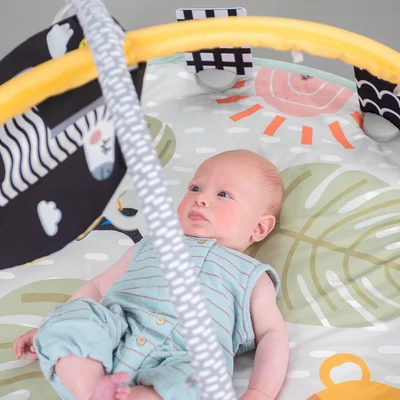 Centru De Joaca TAF TOYS - SAVANNAH [5]