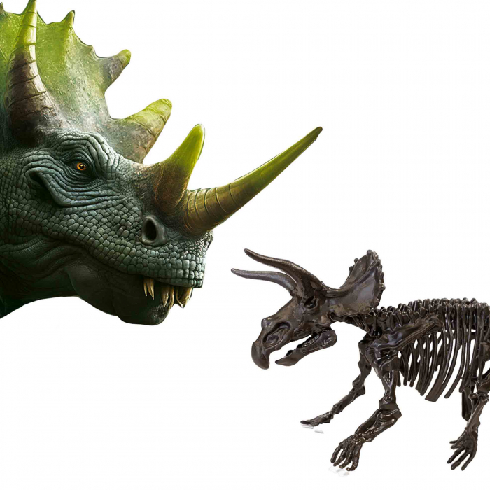 Set creativ Dino si excavarea scheletului 2 in 1 - Triceratops [5]