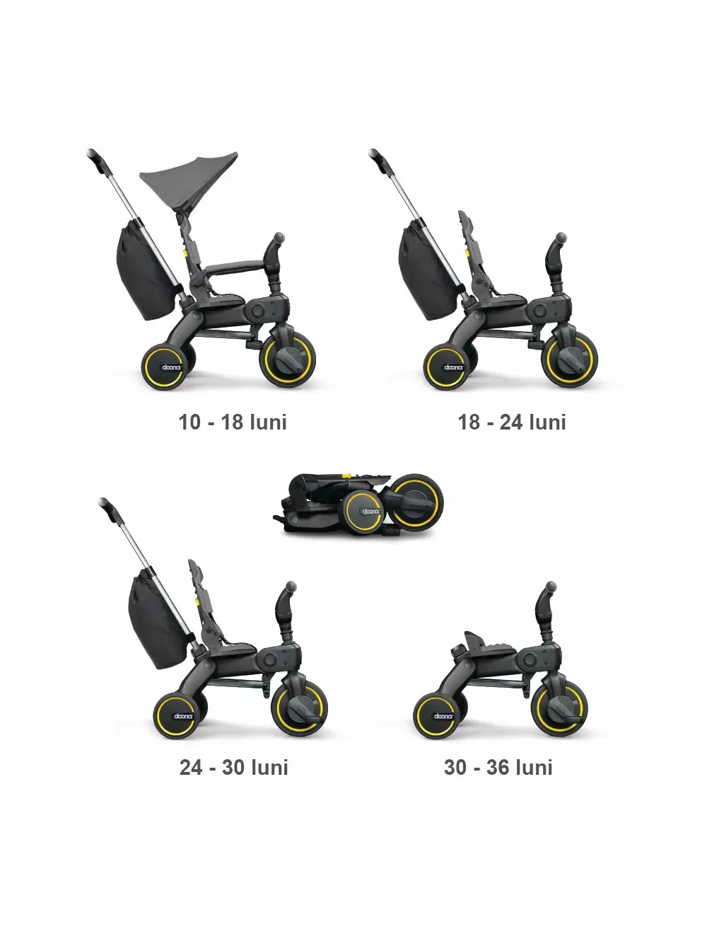 tricicleta-doona-liki-trike-grey-hound [5]