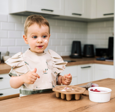 Tavita inghetare lapte matern Babysnugg din silicon potrivita pentru suzeta de fructe, BPA free, Oatmeal [1]
