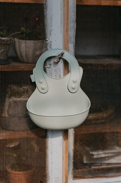 BIBS - Bavetica pentru diversificare si hranire, Sage [2]