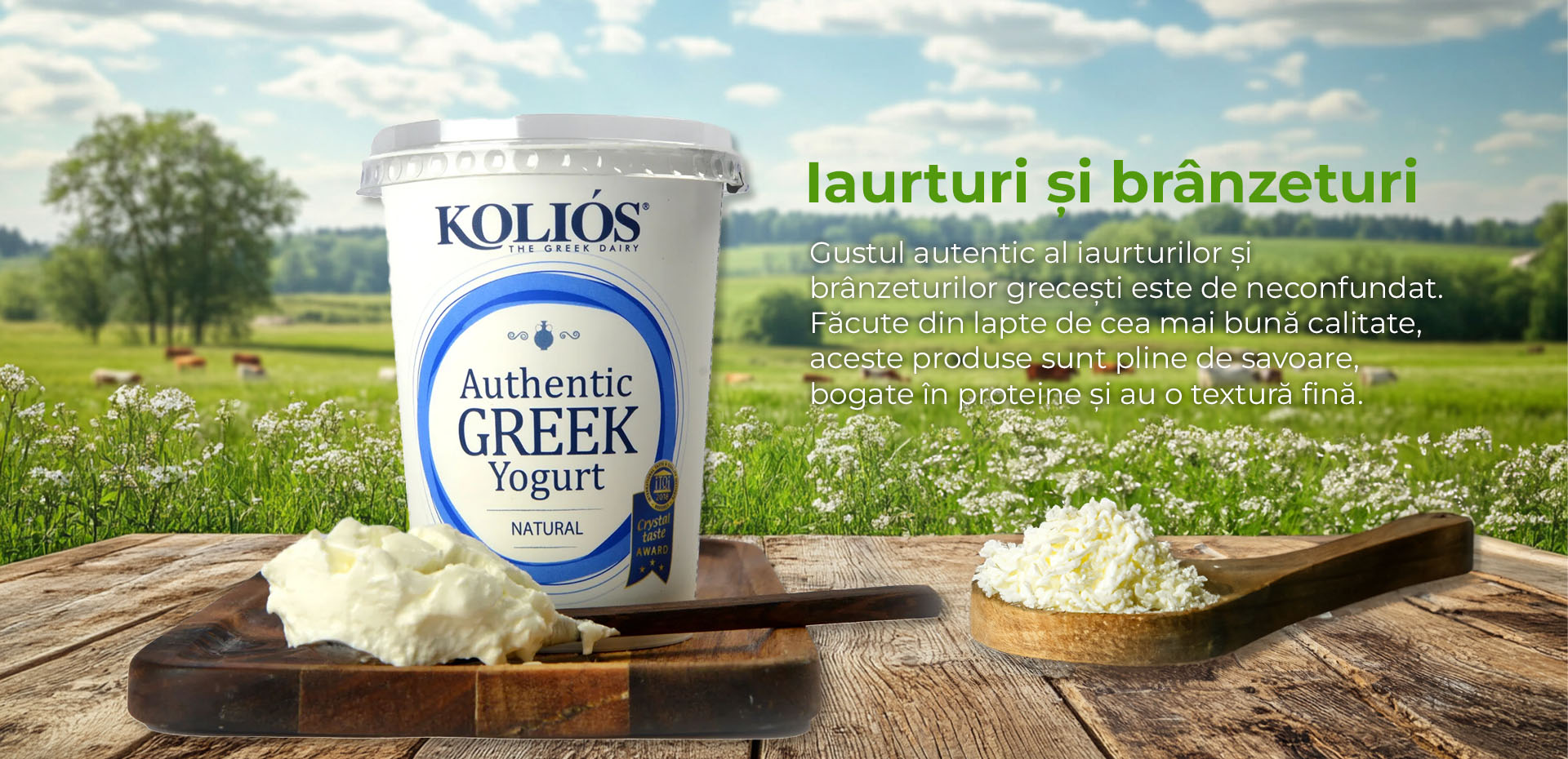 Iaurturi și brânzeturi – Delicatese lactate grecești cu gust și beneficii inegalabile