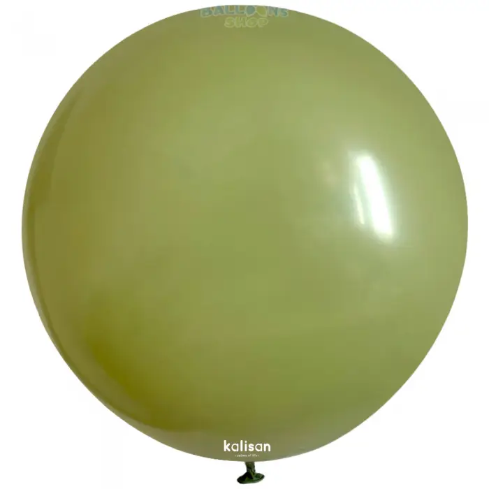 Baloane cu Heliu Jumbo 60cm Eucalyptus Retro [1]