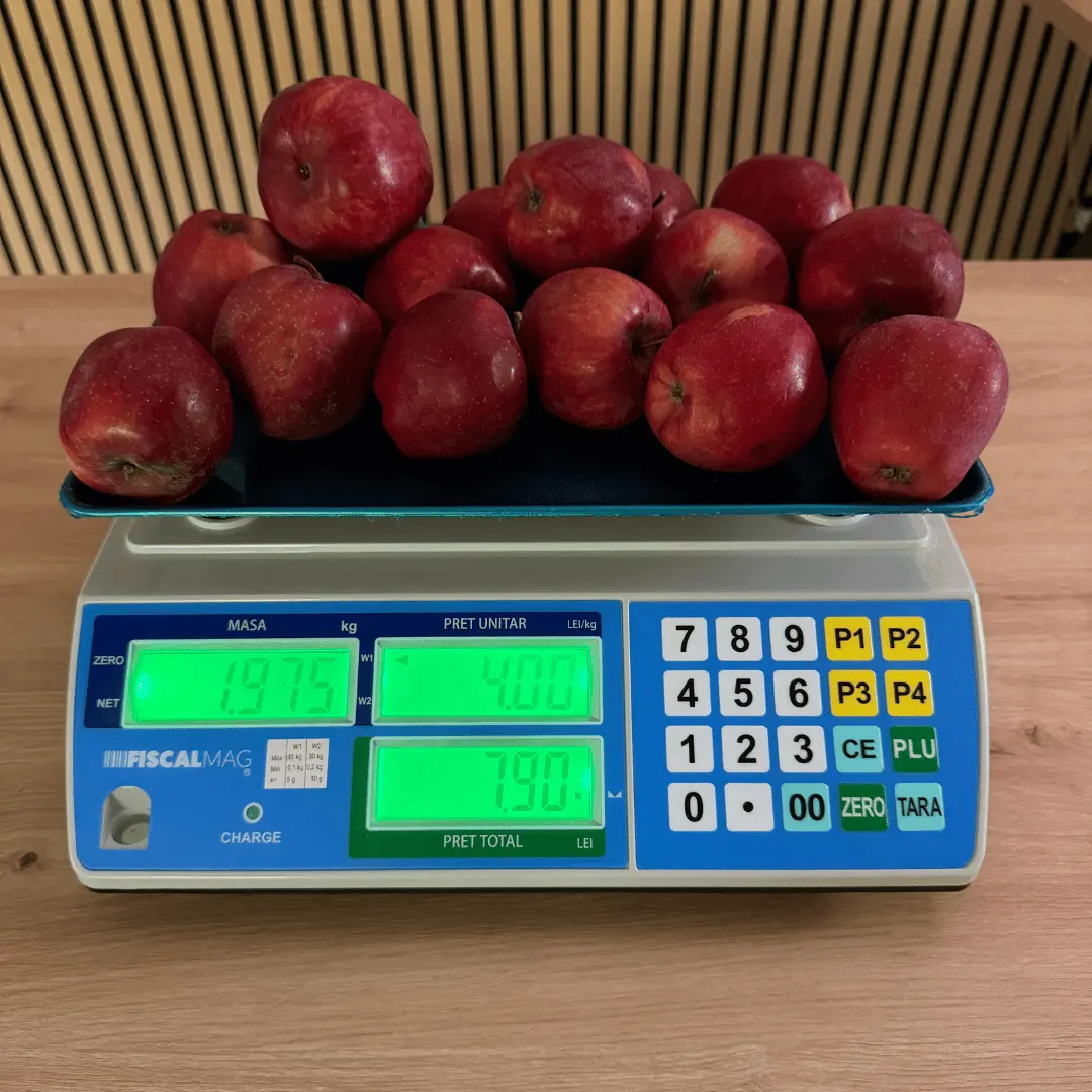cantar-electronic-comercial-fiscalmag-lh-30kg-tava-legume-fructe-verificare-metrologica-acumulator-omologat [5]