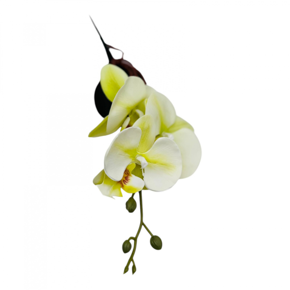 Orhidee Artificiala deosebita, 3 flori duble si 5 boboci, calitate superioara, verde crud [1]