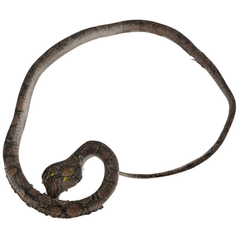 Sarpe de jucarie realist din cauciuc flexibil – Figurina decorativa cu aspect natural pentru joaca, colectie sau farse,  [5]