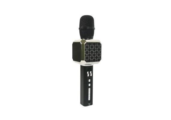 Jucarii interactive - Microfon cu boxa ZX-900, functii multiple, suport card SD, incarcare micro, conexiune wireless, diverse culori, 25.5×8.5×7cm 