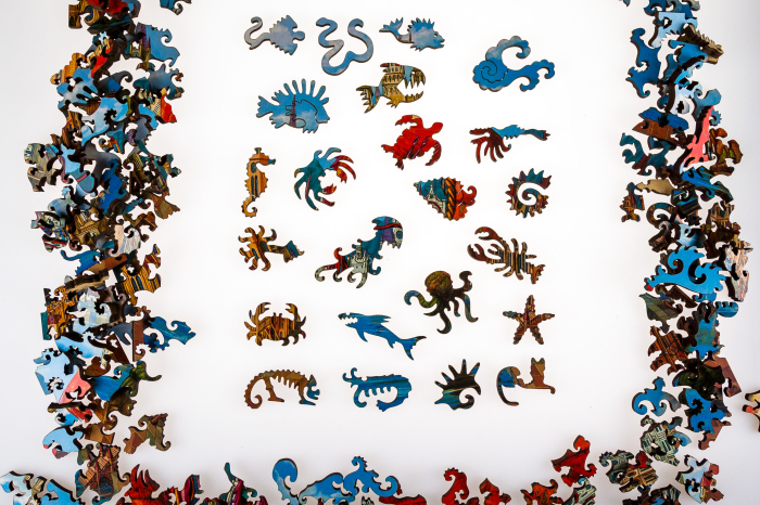 Puzzle din lemn Red Shrimp, 165 piese [4]