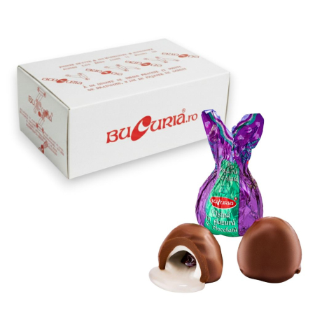 % Promotii % - Bomboane Visina în glazură de ciocolată 2,5 Kg