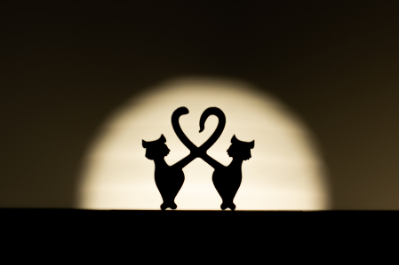 Puzzle din lemn Attraction, 240 piese [3]