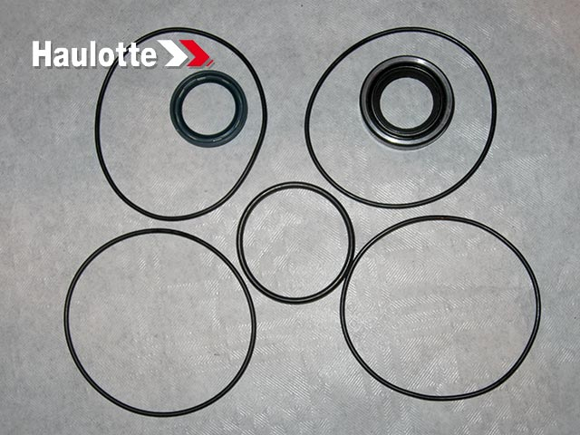 Kit reparatie reductor rotire cusca nacela Haulotte 2421693900 [5]