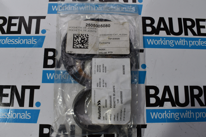 Kit reparatii hidromotor nacela foarfeca electrica Haulotte Compact 2505005080 [4]