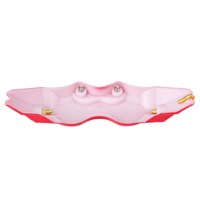 Set 2 ornamente pentru etrieri, marime S, culoare Rosie [3]