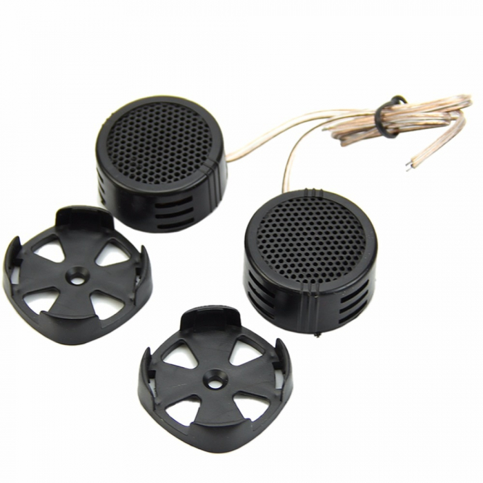 Set Tweetere Auto 100W DM-204 [1]