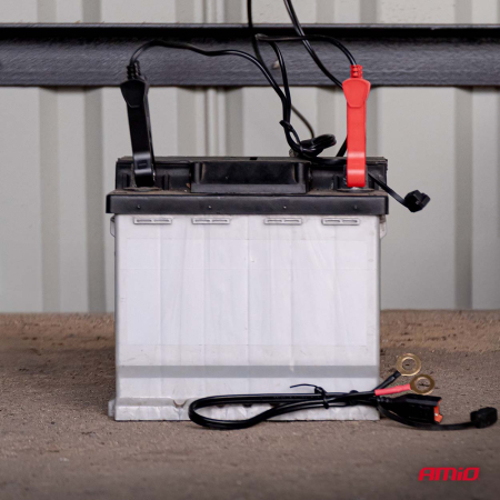 Redresor baterii digital 12V/24V 8A AMIO PRO HOOK – Încărcător profesional pentru AGM, GEL, STD și LiFePO4 [4]