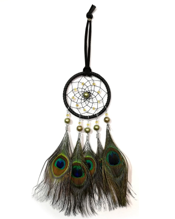 Casa si Gradina - Dream Catcher pene de paun
