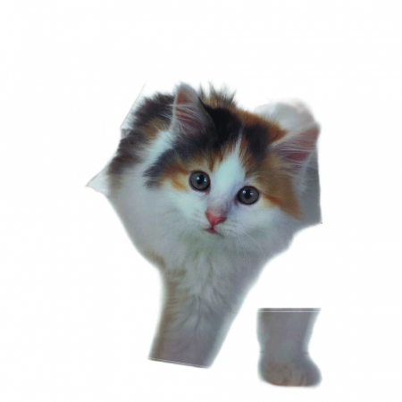 Sticker 3D perete, pisica, catel [2]