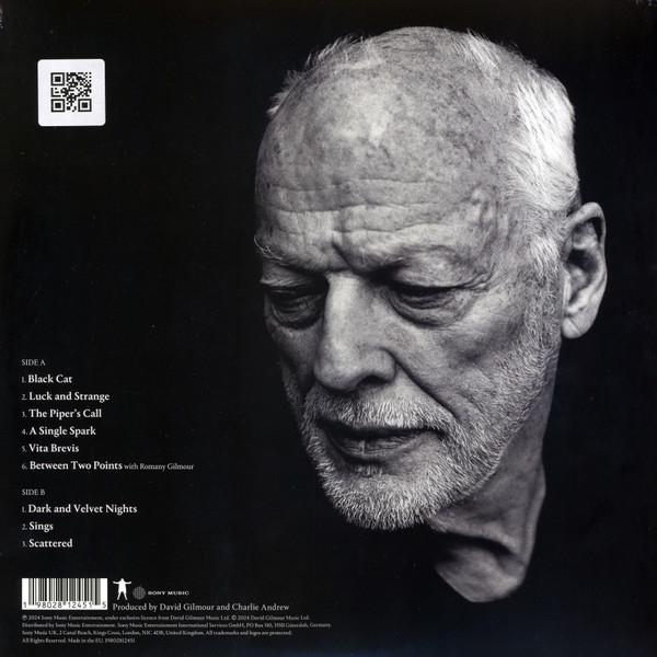 David Gilmour - Luck And Strange [2]