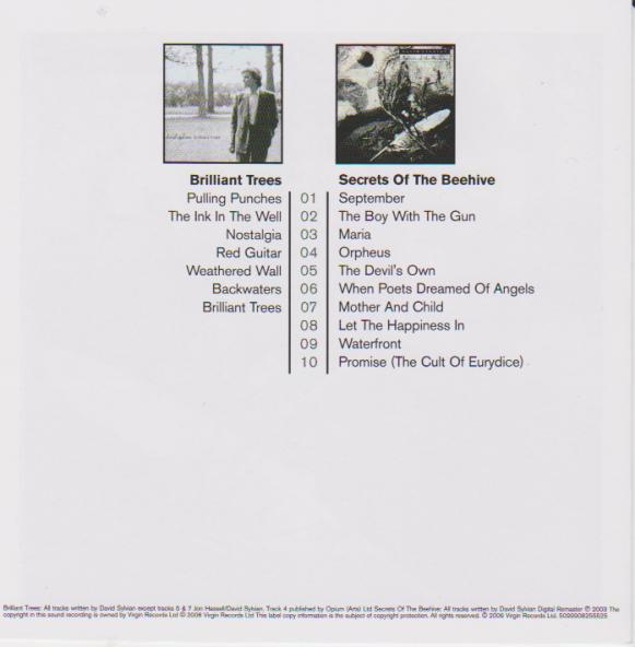David Sylvian - Brilliant Trees / Secrets Of The Beehive [2]