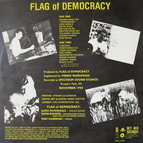 Flag Of Democracy - Shatter Your Day [2]