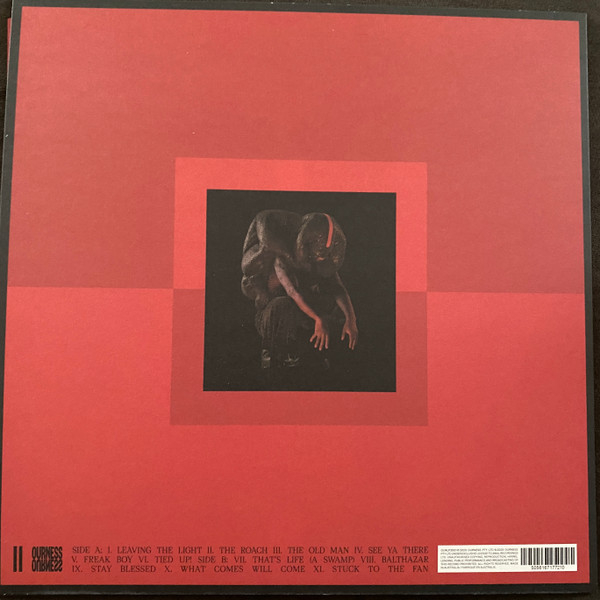 Genesis Owusu – Struggler, (Disc Vinil)  [2]