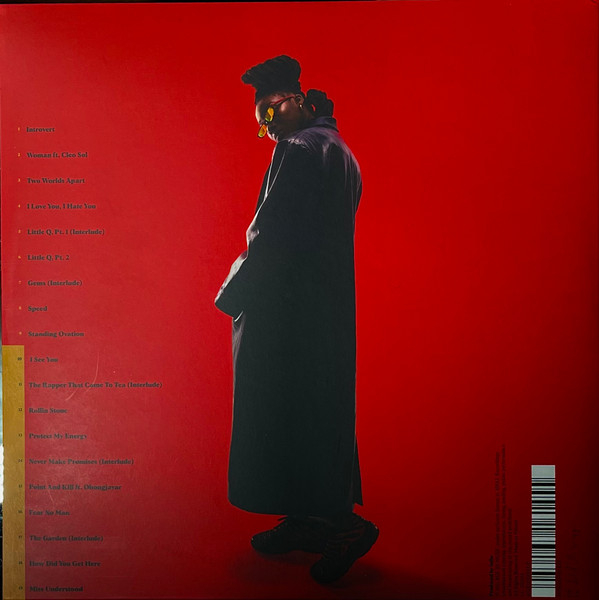 Little Simz – Sometimes I Might Be Introvert, (Disc Vinil)  [2]