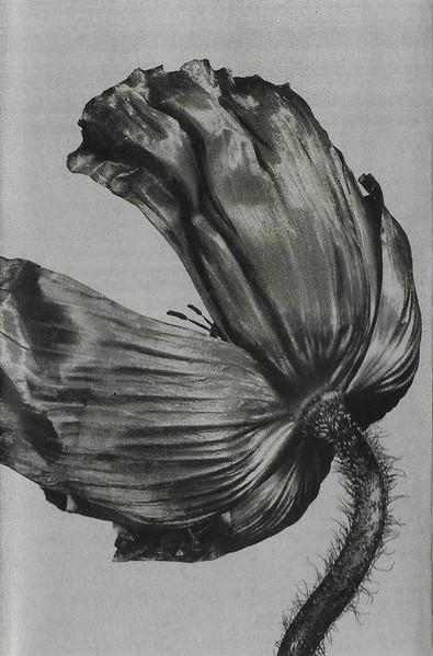 Pet Shop Boys - Release (Caseta Audio) [1]