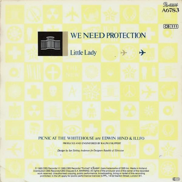 Picnic At The Whitehouse - We Need Protection (Disc Vinil) [2]