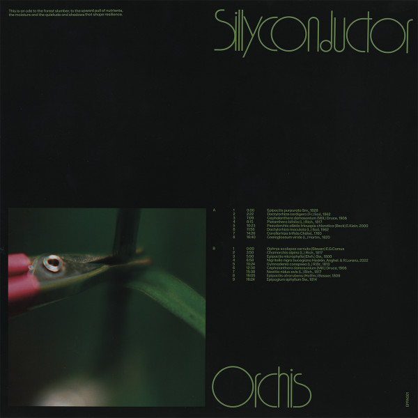 Sillyconductor – Orchis (Disc Vinil) [2]