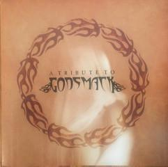 The Pagan Rock All Stars - A Tribute To Godsmack [1]