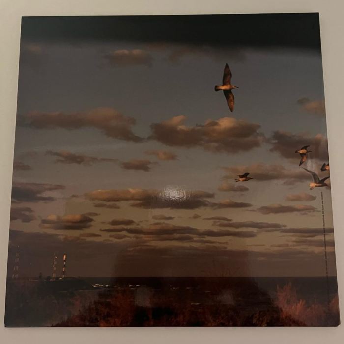 Vinil glo Creative Camp 2021 , (Disc Vinil) [3]