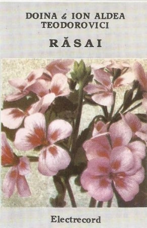 Casete audio - Doina Teodorovici - Răsai (Caseta Audio)