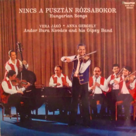 Discuri vinil - Andor Bura Kovács And His Gipsy Band - Nincs A Pusztán Rózsabokor - Hungarian Songs (Disc Vinil)
