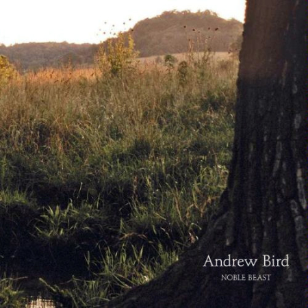 Cd-uri - Andrew Bird - Noble Beast (CD)