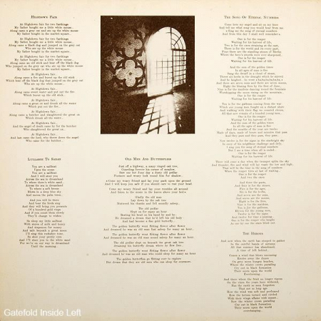 Angelo Branduardi - Highdown Fair, (Disc Vinil) [1]