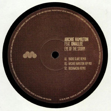 Muzica Electronica - Archie Hamilton - Eye Of The Storm (Disc Vinil)