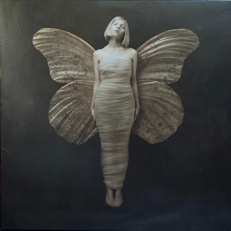 Pop - Aurora – All My Demons Greeting Me As A Friend (Disc Vinil)