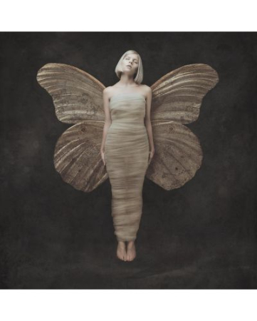 Discuri vinil noi - AURORA - All My Demons Greeting Me As A Friend (Disc Vinil)