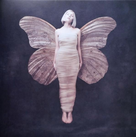 Discuri vinil - Aurora  - All My Demons Greeting Me As A Friend (Disc Vinil)