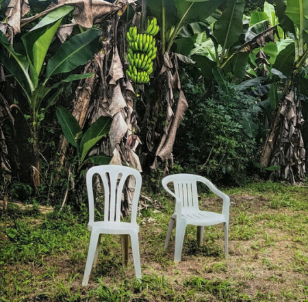 Discuri vinil noi - Bad Bunny - Debí Tirar Más Fotos (Disc Vinil)